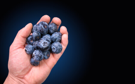 flavonoide in heidelbeeren oder rotwein verringern sterberisiko bei parkinson