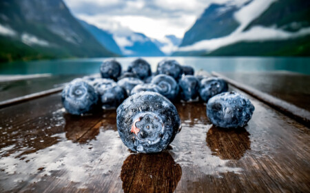 schwedische beeren reich an antioxidantien und polyphenolen gegen arteriosklerose