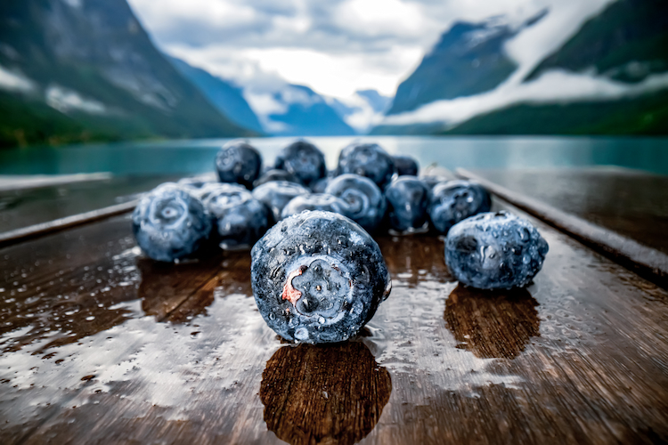 schwedische beeren reich an antioxidantien und polyphenolen gegen arteriosklerose