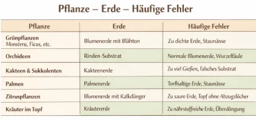 Tabelle Pflanze Erde häufige Fehler