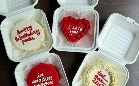 verschiedene bento cakes