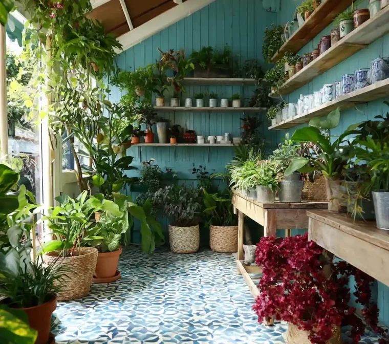 Welche Pflanzen für den Wintergarten