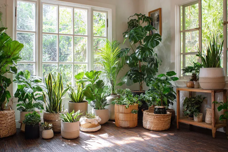 Wintergarten gestalten nützliche Tipps