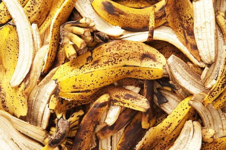 Bananenschalen als organischen Dünger verwenden