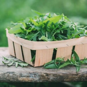 Bitterstoffe zum Abhnemen und für gute Verdauung in Rucola