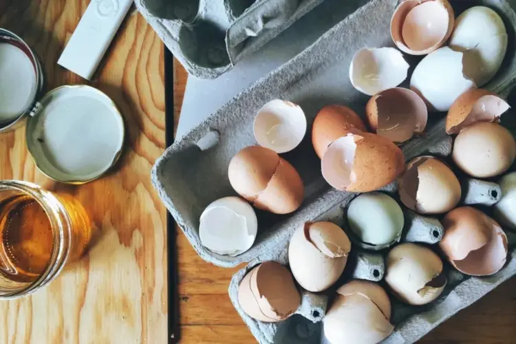 Dünger aus Eierschalen und Kaffeesatz selber herstellen