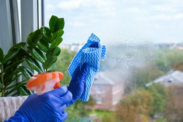 Fenster putzen mit Hausmitteln ist eine umweltfreundlichere Alternative zu chemischen Reinigern