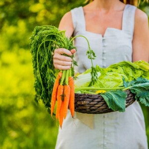 Gemüse im eigenen Garten anbauen Tipps für umweltfreundliches Gärtnern