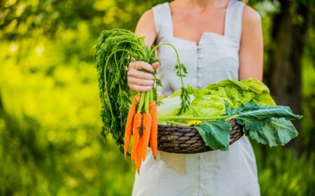 Gemüse im eigenen Garten anbauen Tipps für umweltfreundliches Gärtnern