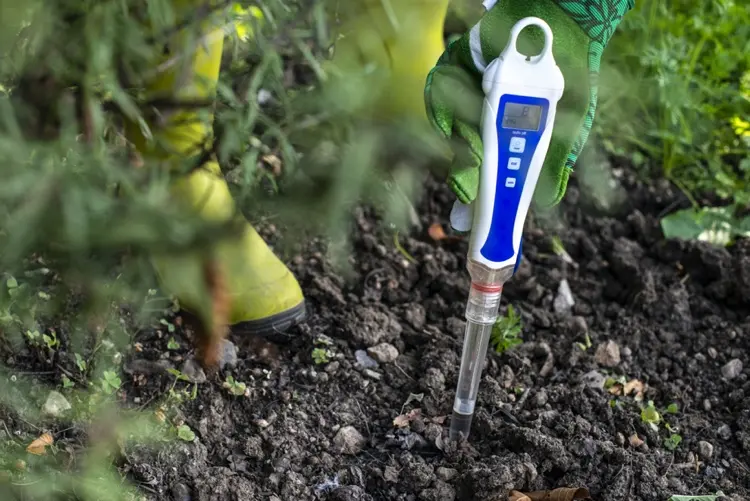 Mit einem Bodentest können Sie den pH-Wert Ihres Bodens messen