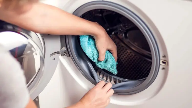 Waschmaschinen Gummi reinigen Schimmel entfernen