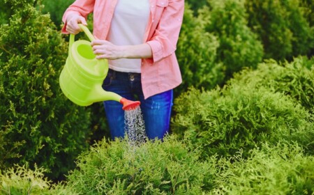 Wasser entkalken Methoden und Hausmittel