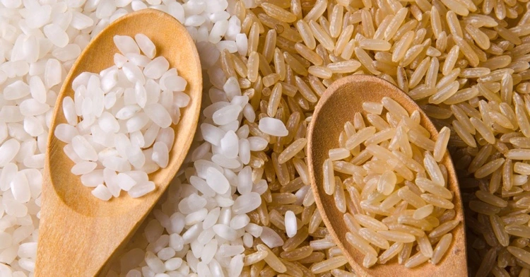 Weißer oder brauner Reis für Orchideen - Was ist besser