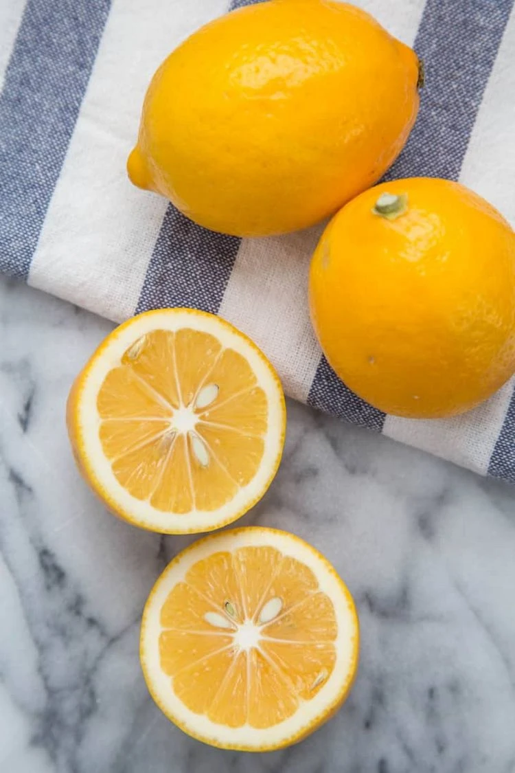 Welche Zitronen Sorte eignet sich für Marmelade
