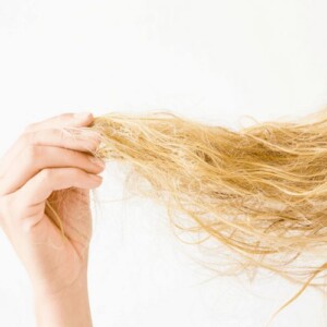 Wie verfilztes Haar entfilzen ohne es zu beschädigen