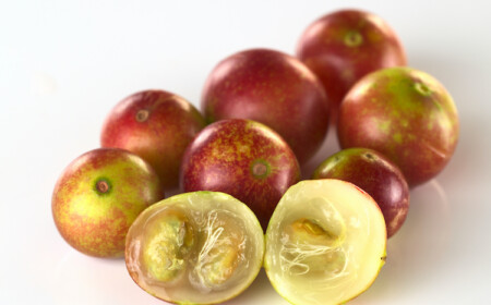 brasilianische frucht camu camu reich an polyphenolen gegen adipositas und diabetes