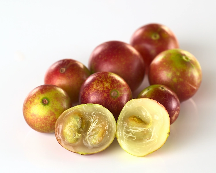 brasilianische frucht camu camu reich an polyphenolen gegen adipositas und diabetes