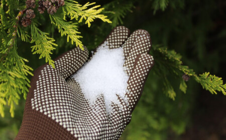 was ist bittersalz dünger verwendung als hobbygärtner
