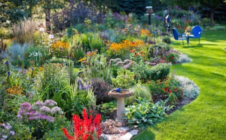 Bienenfreundlichen Garten anlegen Tipps für Hobby Gärtner