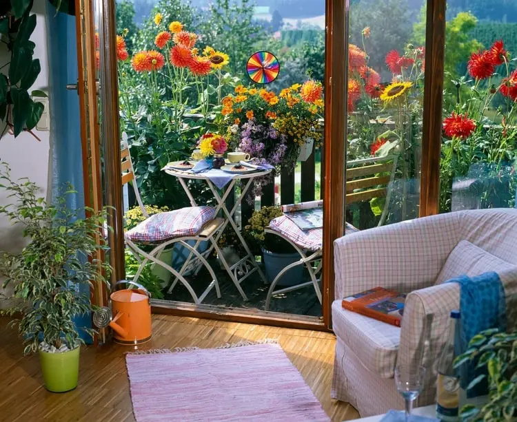 Dahlien für die üppige Balkonbepflanzung