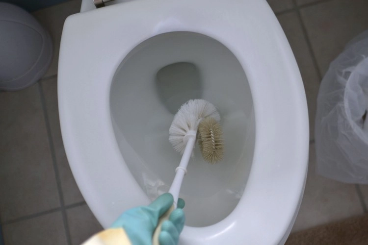 Desinfizieren Sie Ihre Toilette mit Waschsoda und Ammoniak