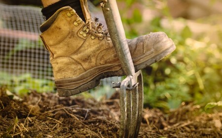 Dünger selber machen - Welche Grundlagen sind zu beachten