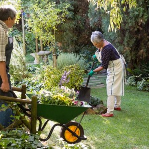 Garten im Frühling Teamwork wichtige Aufgaben