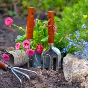 Gartenarbeit im März - Tipps zum Säen, Pflanzen, Schneiden und für den Rasen