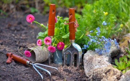 Gartenarbeit im März - Tipps zum Säen, Pflanzen, Schneiden und für den Rasen