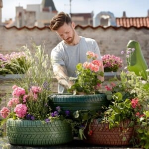 Hängepflanzen für den Balkon Geranien