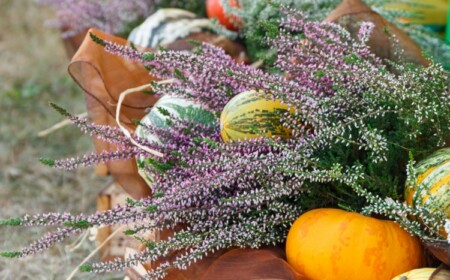 Hügelbeet bepflanzen - Jährlicher Pflanzplan für Gemüse und Blumen