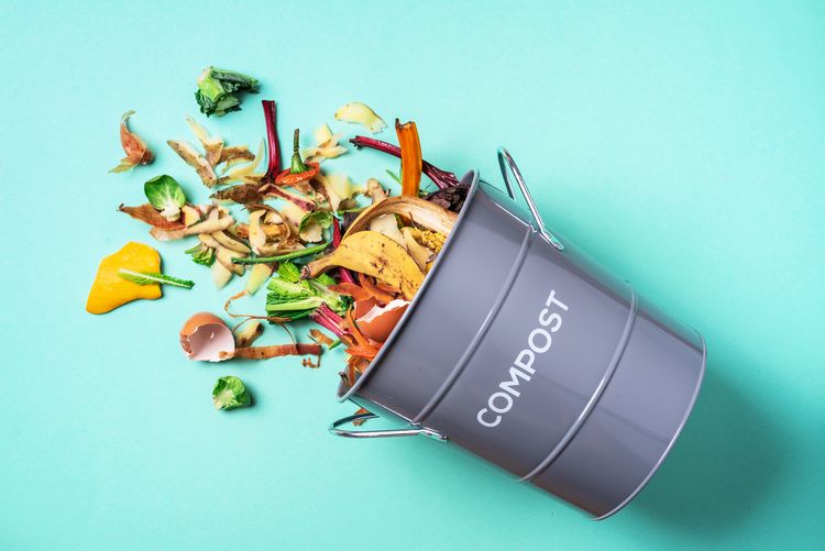 Kompostieren beschleunigen auf natürliche Art und Weise