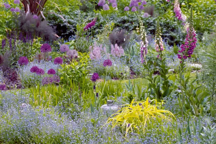 Natürliche Gärten gestalten mit wilden Wiesenblumen