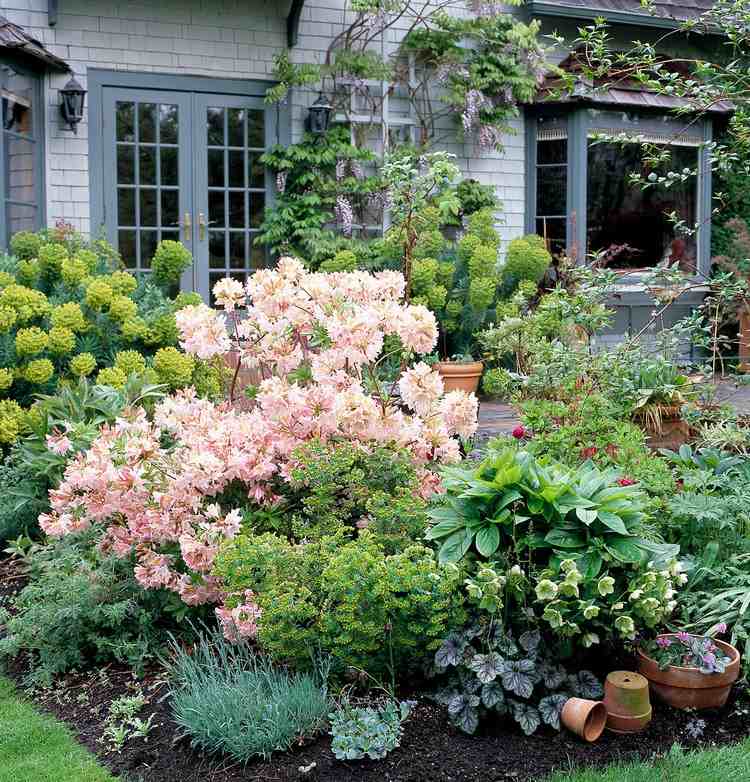 Rhododendron düngen Pflegetipps und Mittel