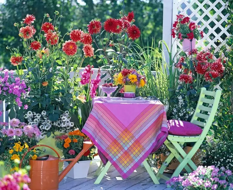 Terrassen und Balkon bepflanzen - Tipps für die Kultivierung von Dahlien in Töpfen