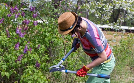 Warum Frühjahrsputz wichtig für den Garten ist