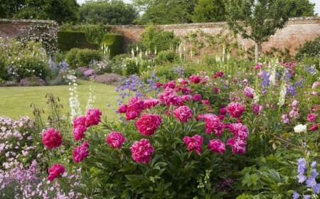 Welche Zwiebelblumen im Frühjahr pflanzen Liste und Sorten