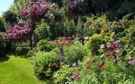 Wildhecke im Garten anlegen Anleitung und Pflanzplan