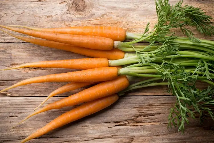 Zum Abnehmen können Sie Karottensaft trinken