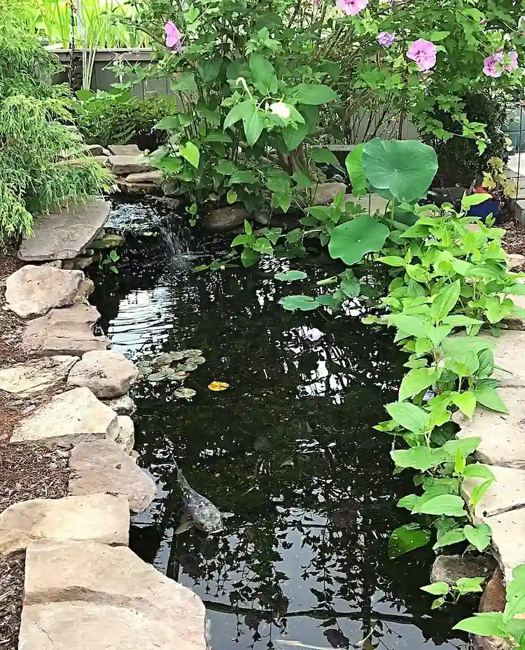 gartenteich mit grüner bepflanzung schafft gemütliche atmosphäre