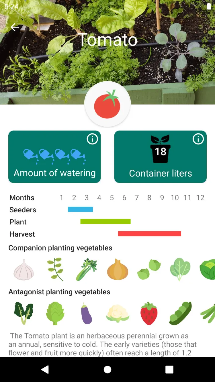 iScape Gartenplaner App Erfahrungen welches Gemüse wann pflanzen