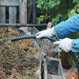 natürliches düngemittel durch pferdemist als dünger im garten verwenden