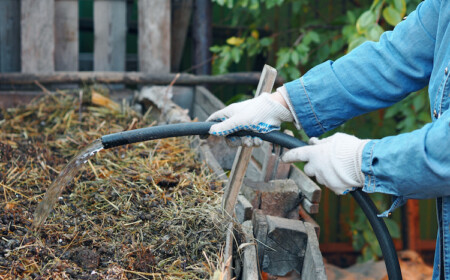natürliches düngemittel durch pferdemist als dünger im garten verwenden