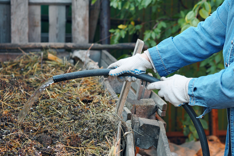 natürliches düngemittel durch pferdemist als dünger im garten verwenden