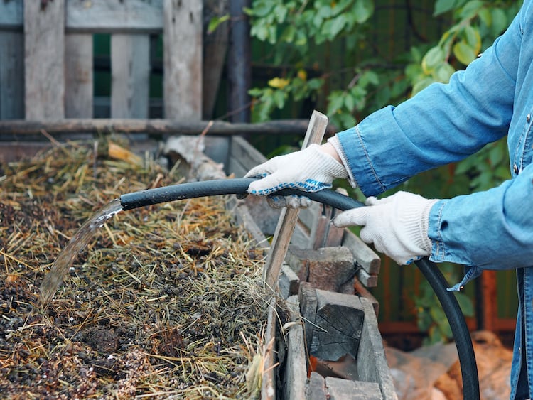 natürliches düngemittel durch pferdemist als dünger im garten verwenden