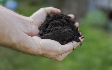 vor dem anbau von pflanzen den gartenboden testen