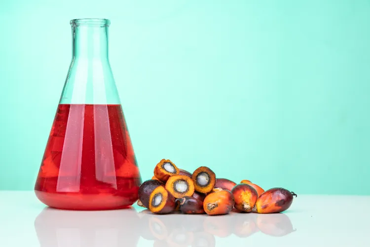 warum ist Palmöl schädlich gesunde und ungesunde Speiseöl