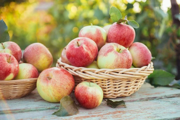 Äpfel im April laut Saisonkalender
