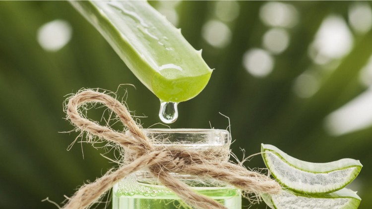 Aloe Vera Saft ist für gesundheitliche Zwecke verwendet