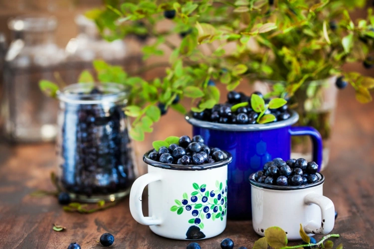 Blaubeeren aus dem eigenen Garten für Desserts und Marmelade